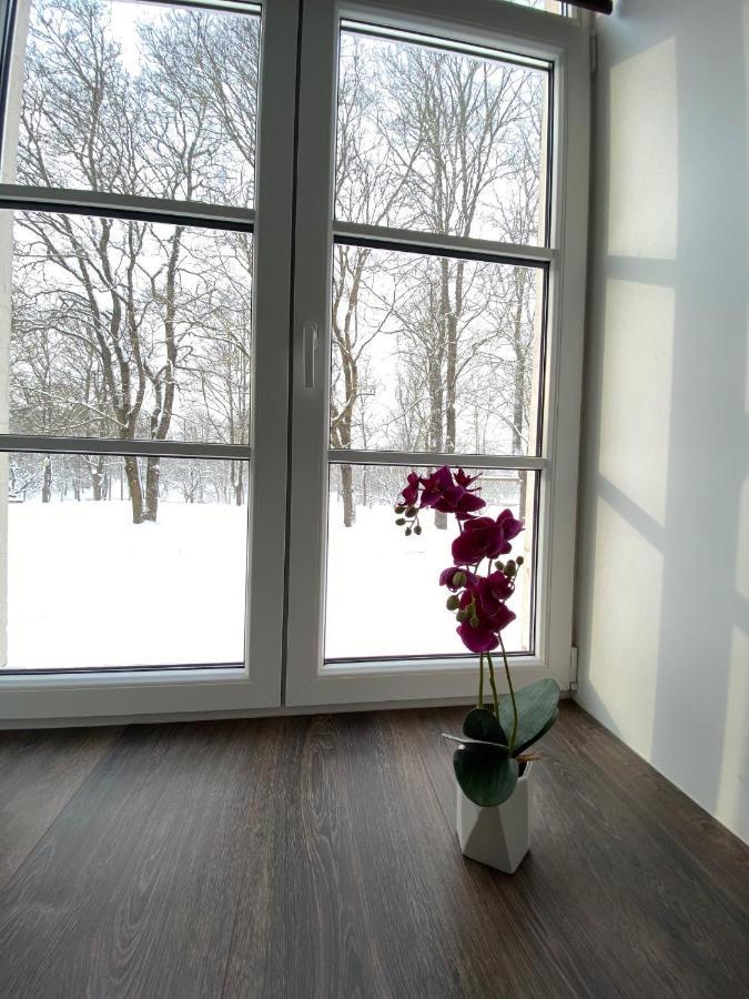 Vabriku 6 Apartment With Sauna ラクヴェレ エクステリア 写真