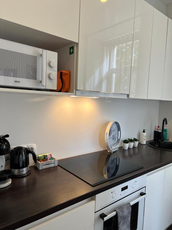 Vabriku 6 Apartment With Sauna ラクヴェレ エクステリア 写真